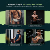 Peak Male Formula | From Brain Fog & Weight Gain to Clear, Steady Energy